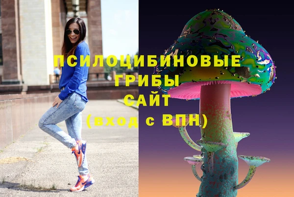 мдпв Алексин