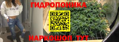 спайс Гусев