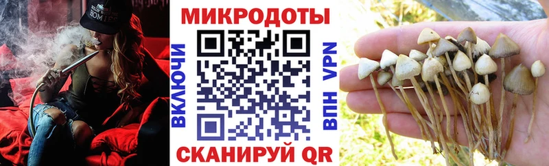 Галлюциногенные грибы мицелий Новокубанск