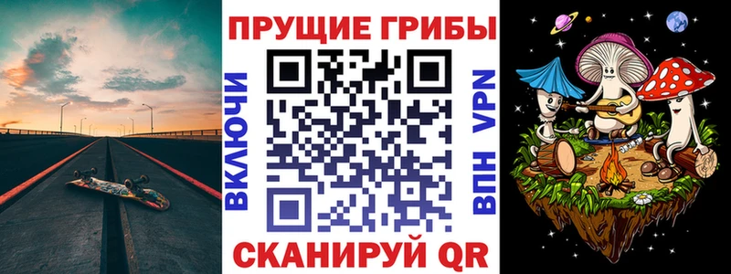 Галлюциногенные грибы Psilocybine cubensis  где продают   Новокубанск 