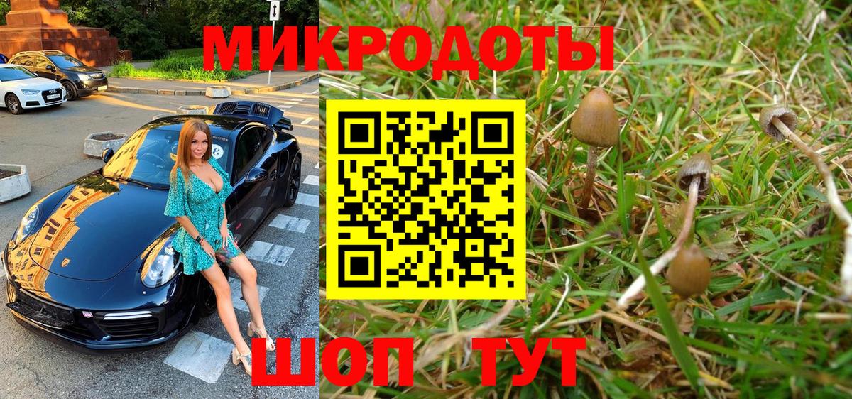 Галлюциногенные грибы Cubensis Новокубанск
